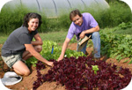 CCCC Land Lab connects people with food