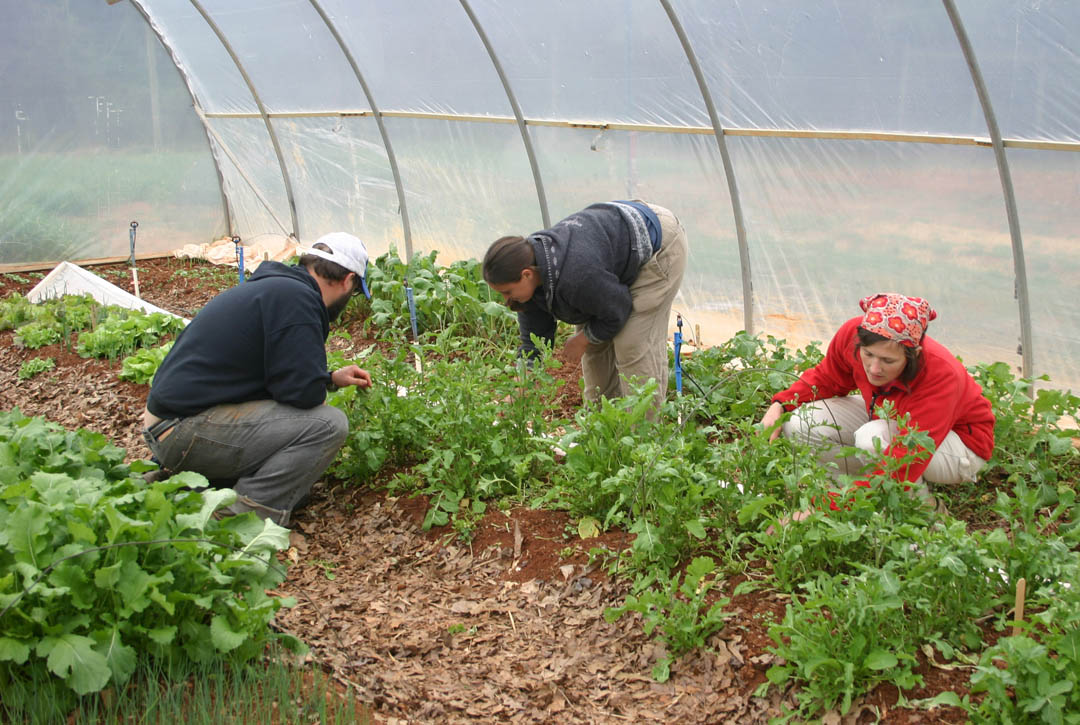 CCCC sustainable ag program receives Carlsen scholarship grant 