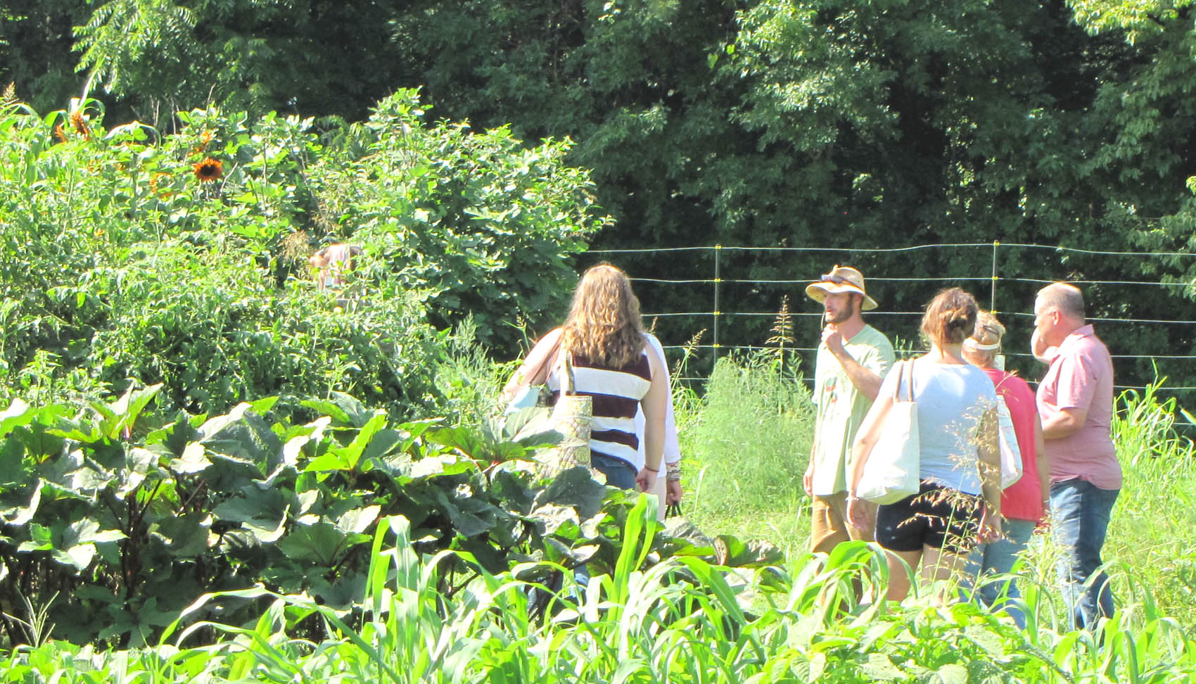 CCCC hosts Sustainable Culinary Arts & Farm Tour event